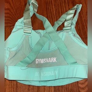 Be visionary Mint sports bra